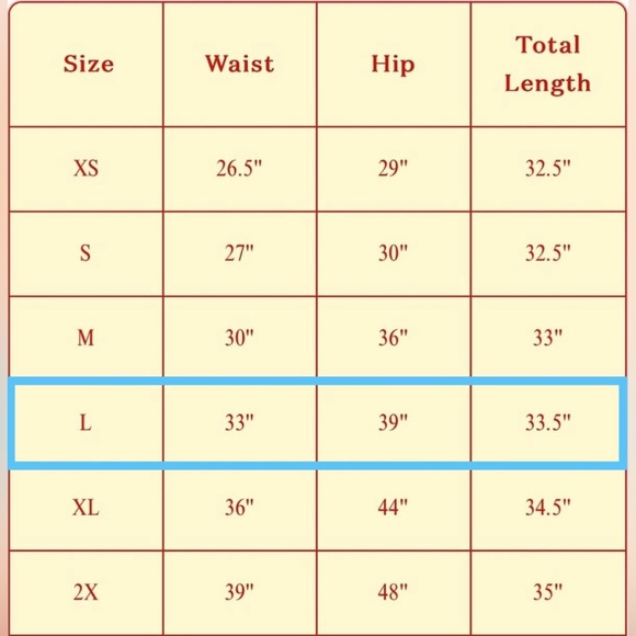 Lisa Says Gah Picnic Alfresco Basket Checker Fruit  Midi Skirt NWT Large - Picture 10 of 10